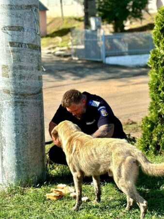Imaginea zilei: Jandarmul Cătălin a fost surprins în timp ce împărțea pachetul său cu un câine care reușise să supraviețuiască apelor Imaginea zilei: Jandarmul  Cătălin a fost surprins în timp ce împărțea pachetul său cu un câine care reușise să supraviețuiască apelor