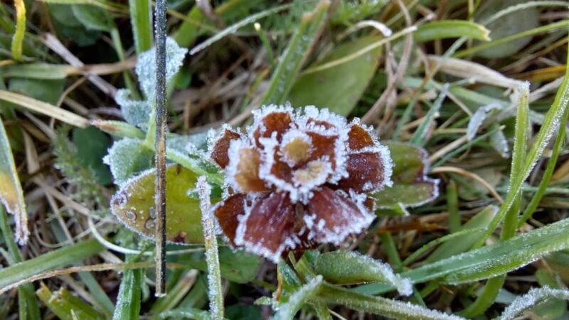 Aceste condiții au fost observate în special în depresiuni, iar frunzele încep să capete nuanțe de brumă, semnificând tranziția către anotimpul toamnei.