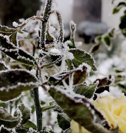 Temperaturi negative, în această dimineață, țara noastră s-a trezit sub influența unei mase de aer rece, aducând temperaturi negative în mai multe regiuni.