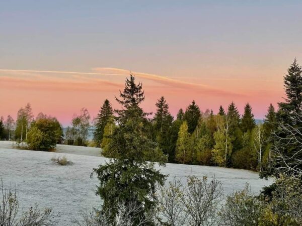 În această dimineață, temperaturile  au scăzut drastic, atingând valori sub pragul de îngheț în mai multe regiuni ale țării. Miercurea Ciuc