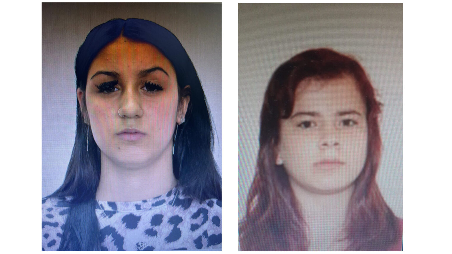 Le-ați văzut? Le-ați văzut?