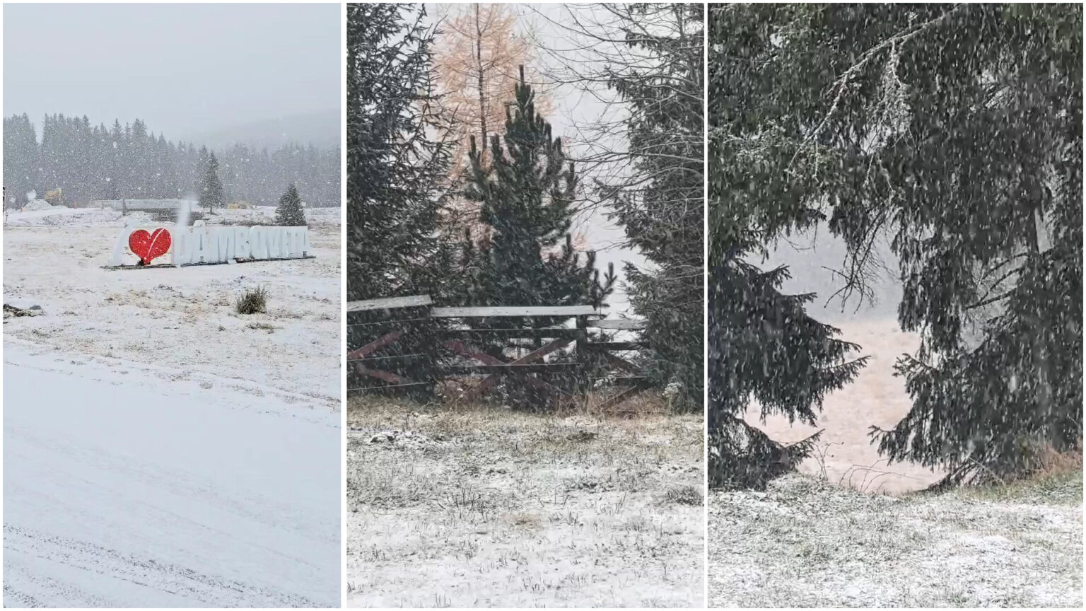 Iarna și-a făcut oficial apariția în județul Dâmbovița, zona montană Padina-Peștera.VIDEO Iarna și-a făcut oficial apariția în județul Dâmbovița, iar prima ninsoare a transformat peisajul montan din zona Padina-Peștera