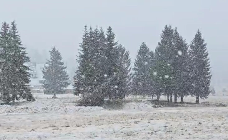 COD GALBEN DE NINSORI în Dâmbovița, meteorologii au emis astăzi o atenționare de tip Cod Galben pentru județul Dâmbovița
