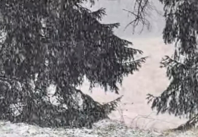 ULTIMA ORĂ: JUDEȚUL DÂMBOVIȚA este sub COD GALBEN de VÂNT, PLOI ȘI NINSORI în zona montană  ULTIMA ORĂ:  JUDEȚUL DÂMBOVIȚA este sub COD GALBEN de VÂNT, PLOI ȘI NINSORI în zona montană,  o avertizare valabilă între 10 noiembrie,