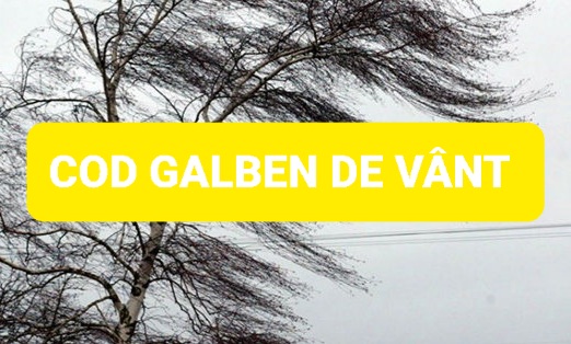 COD GALBEN de VÂNT puternic în mai multe regiuni ale țării, în perioada 2 noiembrie, ora 12:00 – ora 20:00 COD GALBEN de VÂNT puternic în mai multe regiuni ale țării, Administrația Națională de Meteorologie a emis