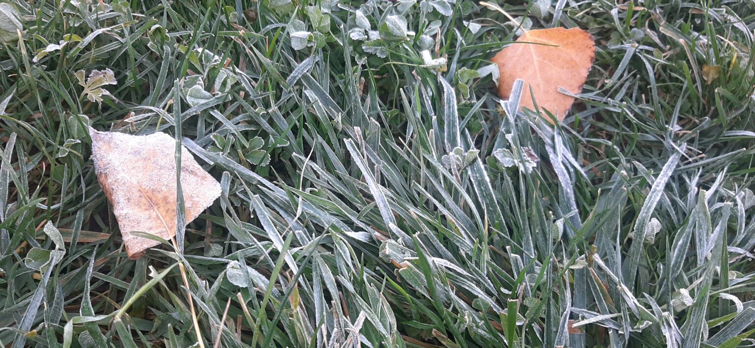 Vremea extrem de rece lovește România, astăzi, 6 noiembrie 2024, întreaga țară se confruntă cu cea mai rece dimineață din acest sezon