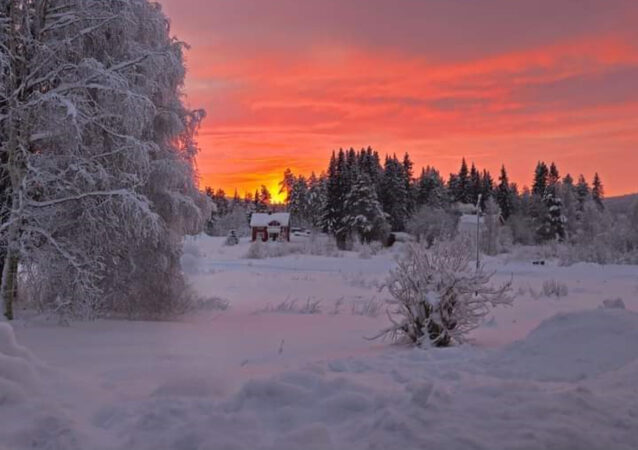 Iarna și-a intrat în drepturi ! Iarna și-a intrat în drepturi !Astăzi, 4 noiembrie 2024, Norvegia și Suedia au fost acoperite de o minunată pătură de zăpadă
