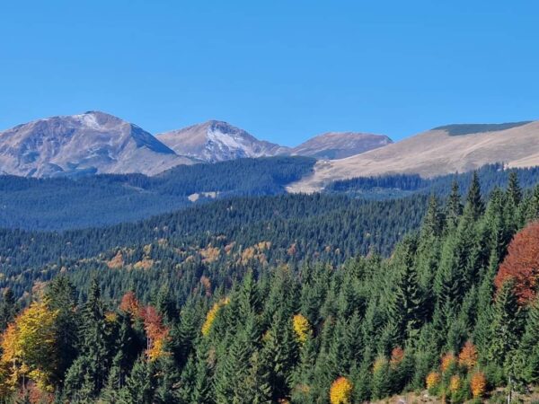 Toamna în Parcul Național Munții Rodnei care  se transformă într-o adevărată feerie de toamnă, atrăgând iubitorii de natură și turiștii dornici să descopere peisaje deosebite.