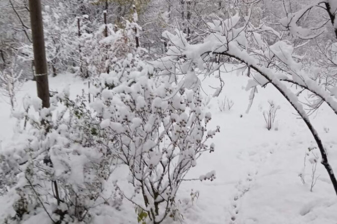 Vreme rece și schimbătoare în România  astăzi, 13 noiembrie 2024.