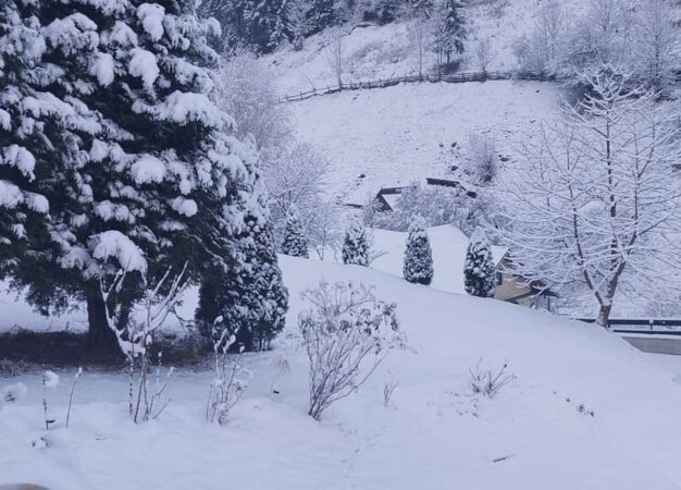 Imaginile zilei: Prima ninsoare a transformat Moieciu  într-un tărâm de basm, una dintre cele mai pitorești destinații montane din România.