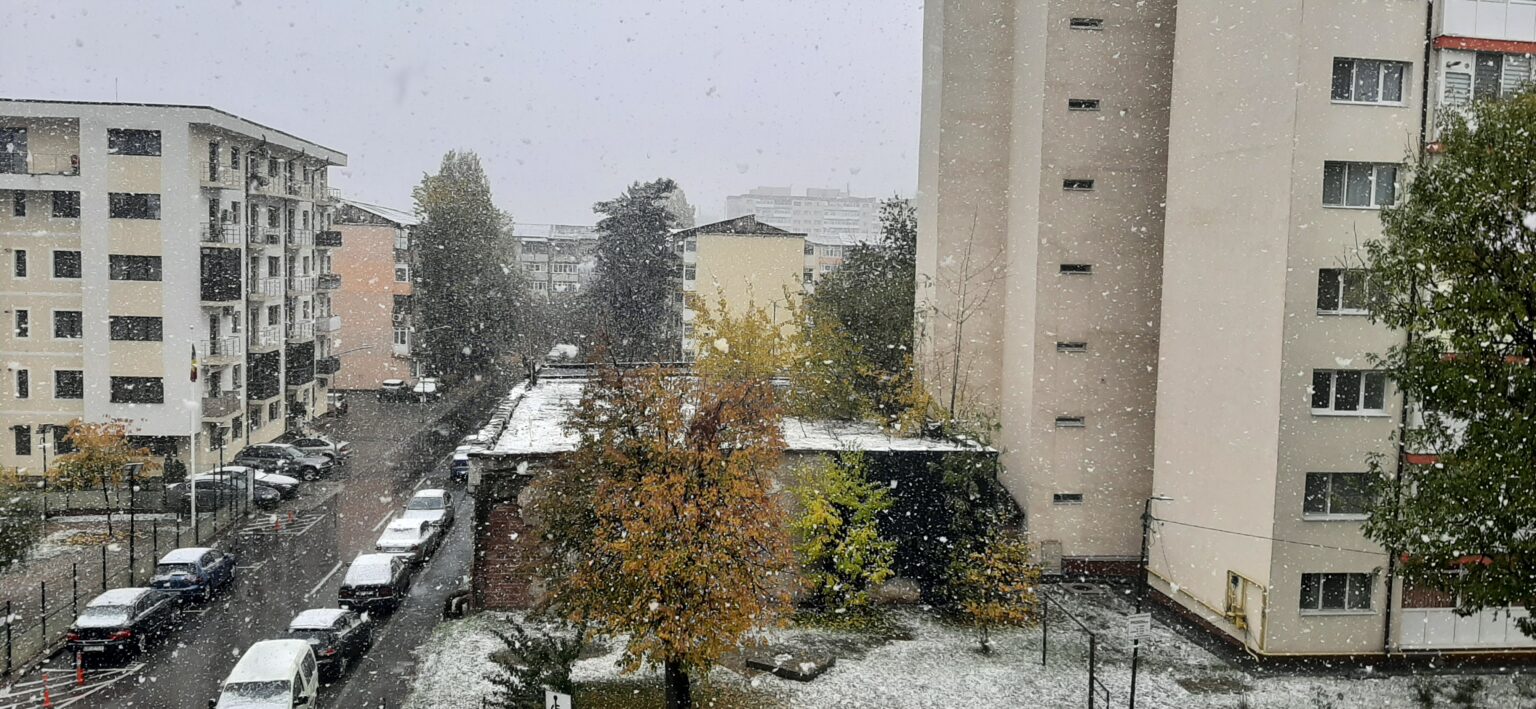 Târgoviște în alb: Primii fulgi de nea au adus magia iernii în oraș La Târgoviște au apărut primii fulgi de nea, care au început să cadă ușor, aducând cu ei atmosfera de sărbătoare specifică iernii.