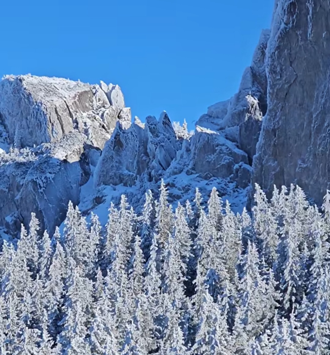 Iarna în Rarău , în inima munților Carpați, unde natura își arată toată splendoarea, Drumul TransRarău este acum complet deszăpezit