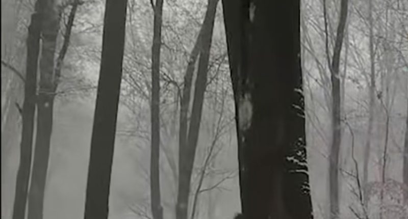 Vreme schimbătoare: Ploi, burniță și ninsori în mai majoritatea regiunilor  Vreme schimbătoare: Ploi, burniță și ninsori , precipitații mixte în regiunile centrale și nord-estice.