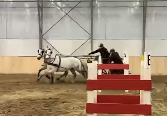 Romsilva învinge la Hortobagyi:  Echipa de atelaje cucerește locul 2 în Ungaria!  Vești excelente din lumea sporturilor ecvestre! Echipa Romsilva – 𝗛𝗲𝗿𝗴𝗵𝗲𝗹𝗶𝗮 𝗦â𝗺𝗯ă𝘁𝗮 𝗱𝗲 𝗝𝗼𝘀 a strălucit la concursul internațional de atelaje în sală desfășurat la Hortobagyi, Ungaria, obținând un loc 2 meritoriu!