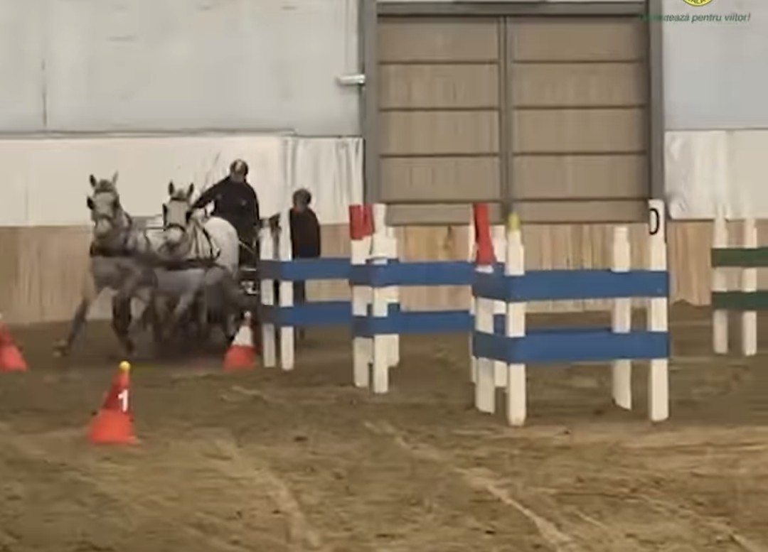 Vești excelente din lumea sporturilor ecvestre! Echipa Romsilva – 𝗛𝗲𝗿𝗴𝗵𝗲𝗹𝗶𝗮 𝗦â𝗺𝗯ă𝘁𝗮 𝗱𝗲 𝗝𝗼𝘀 a strălucit la concursul internațional de atelaje în sală desfășurat la Hortobagyi, Ungaria, obținând un loc 2 meritoriu!