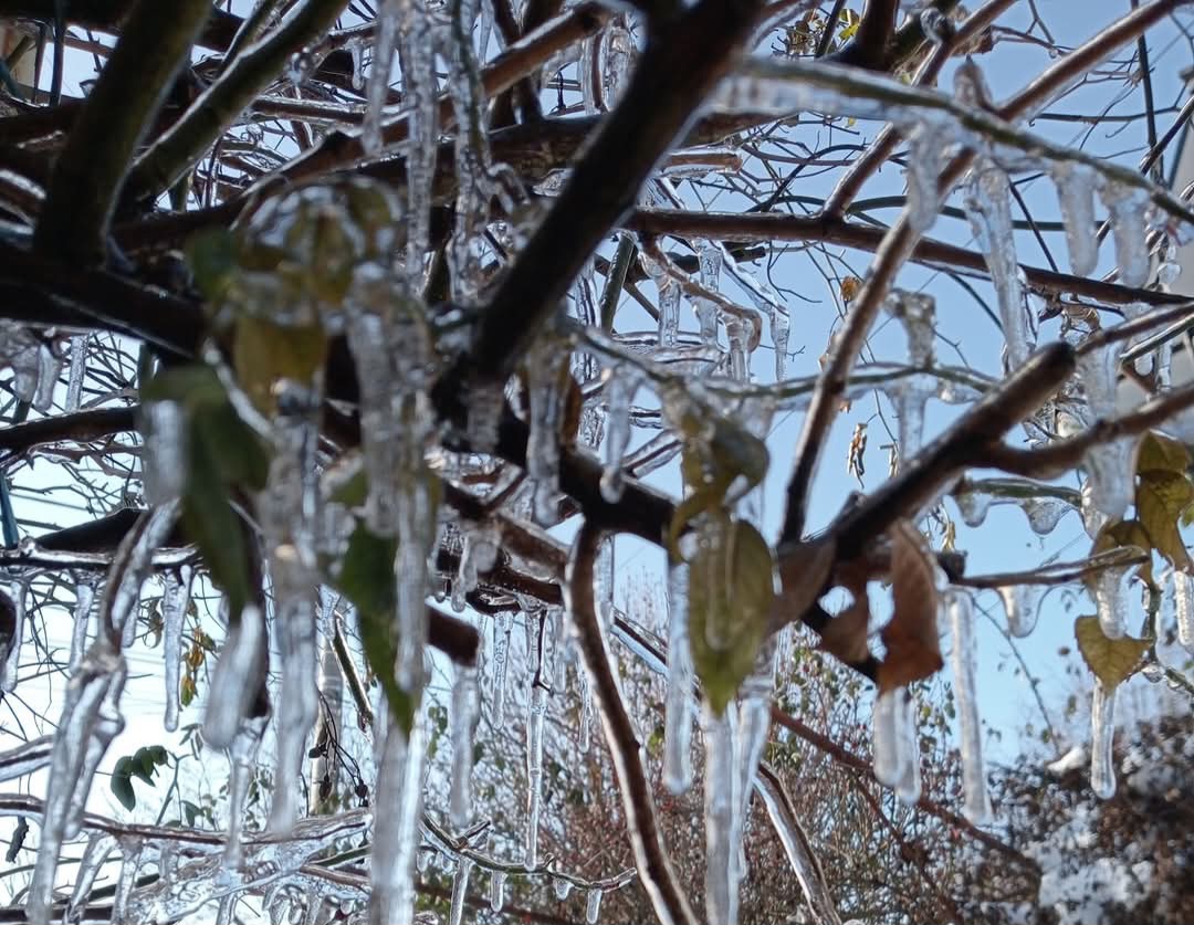Județul Dâmbovița se află sub cod galben de vreme rece și ger sever, valabil între 24 februarie, ora 20:00 și 25 februarie, ora 10:00.