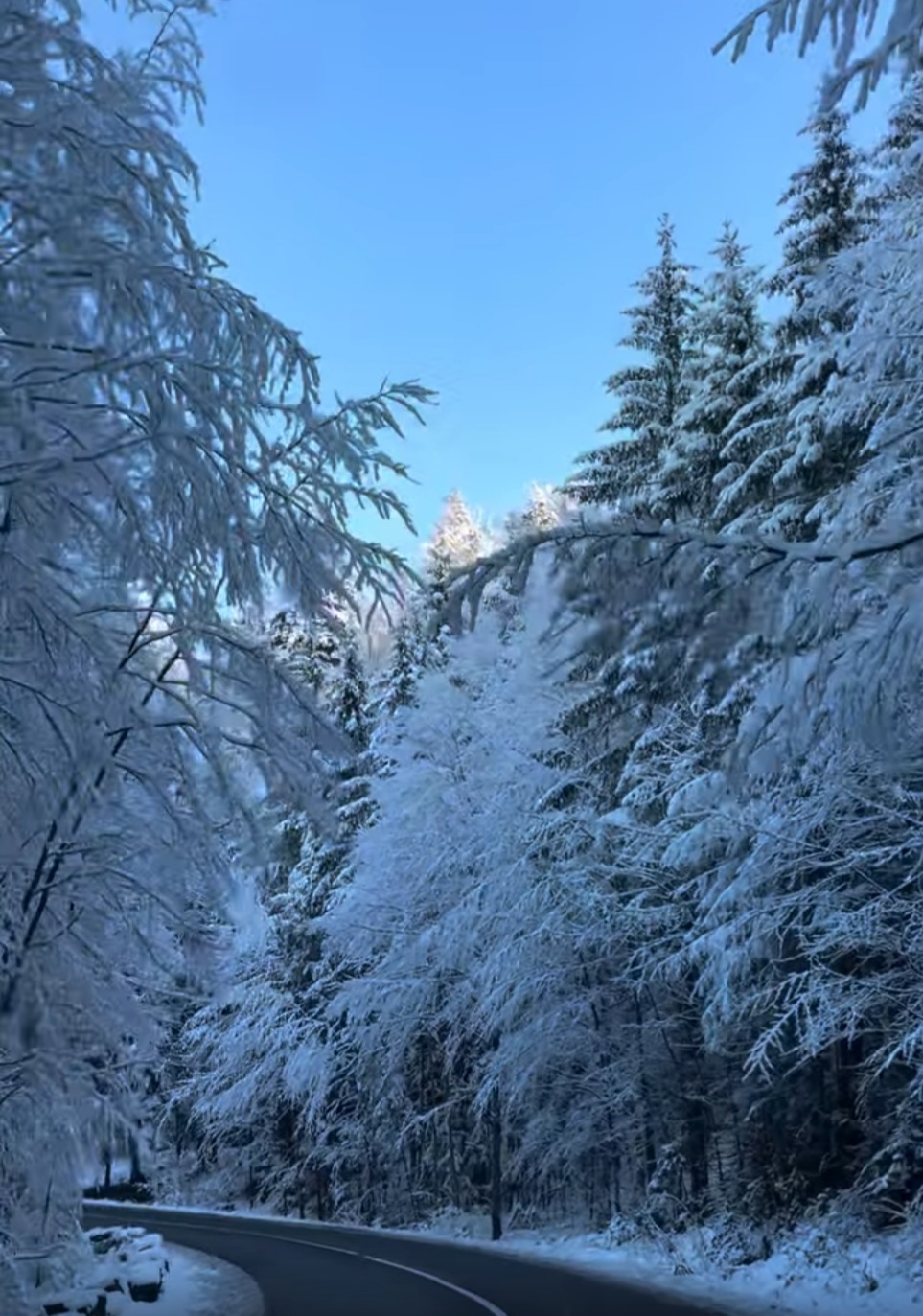 Bucovina, una dintre cele mai frumoase regiuni ale României, a devenit un tărâm de basm în această iarnă.