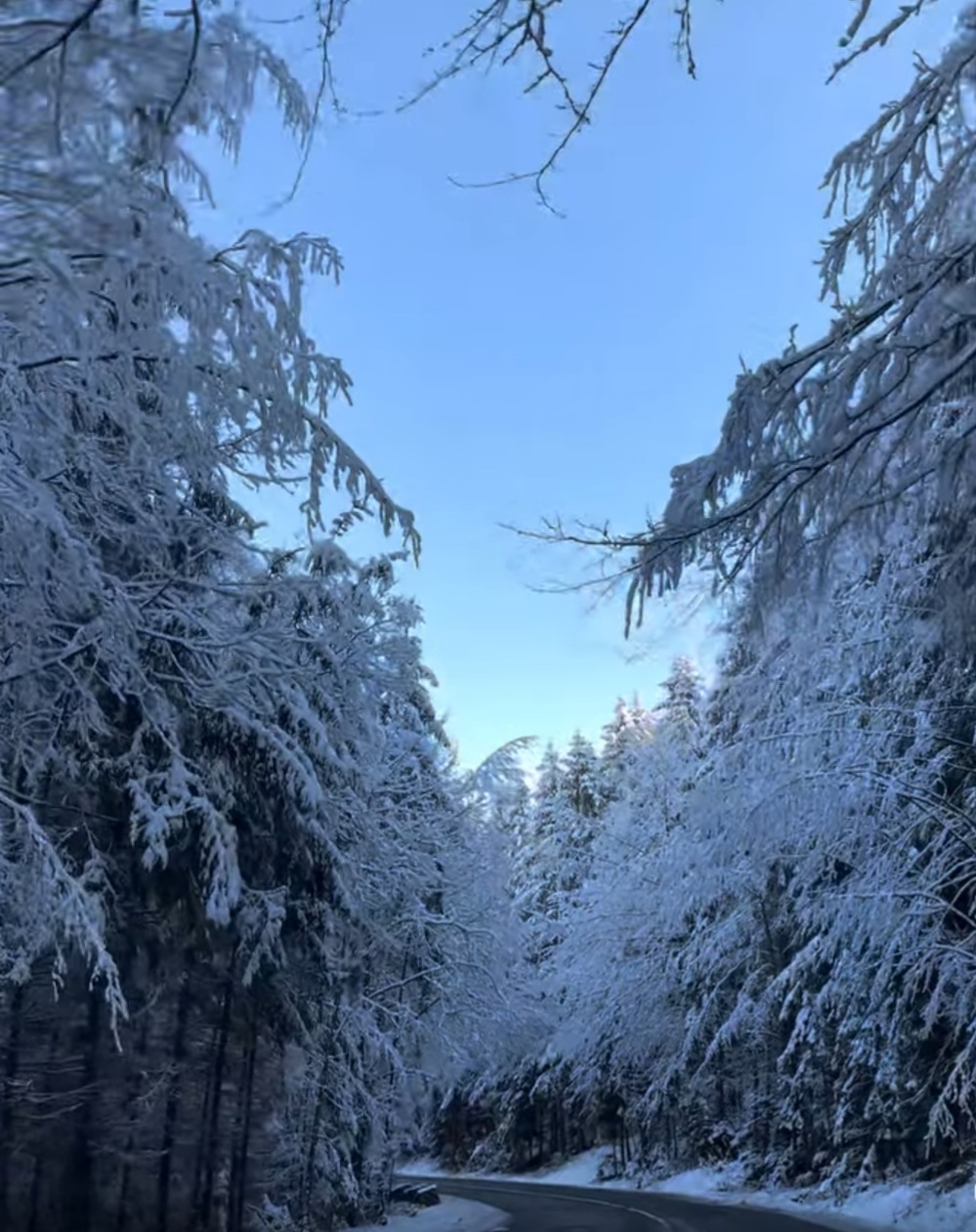 Bucovina, una dintre cele mai frumoase regiuni ale României, a devenit un tărâm de basm în această iarnă.