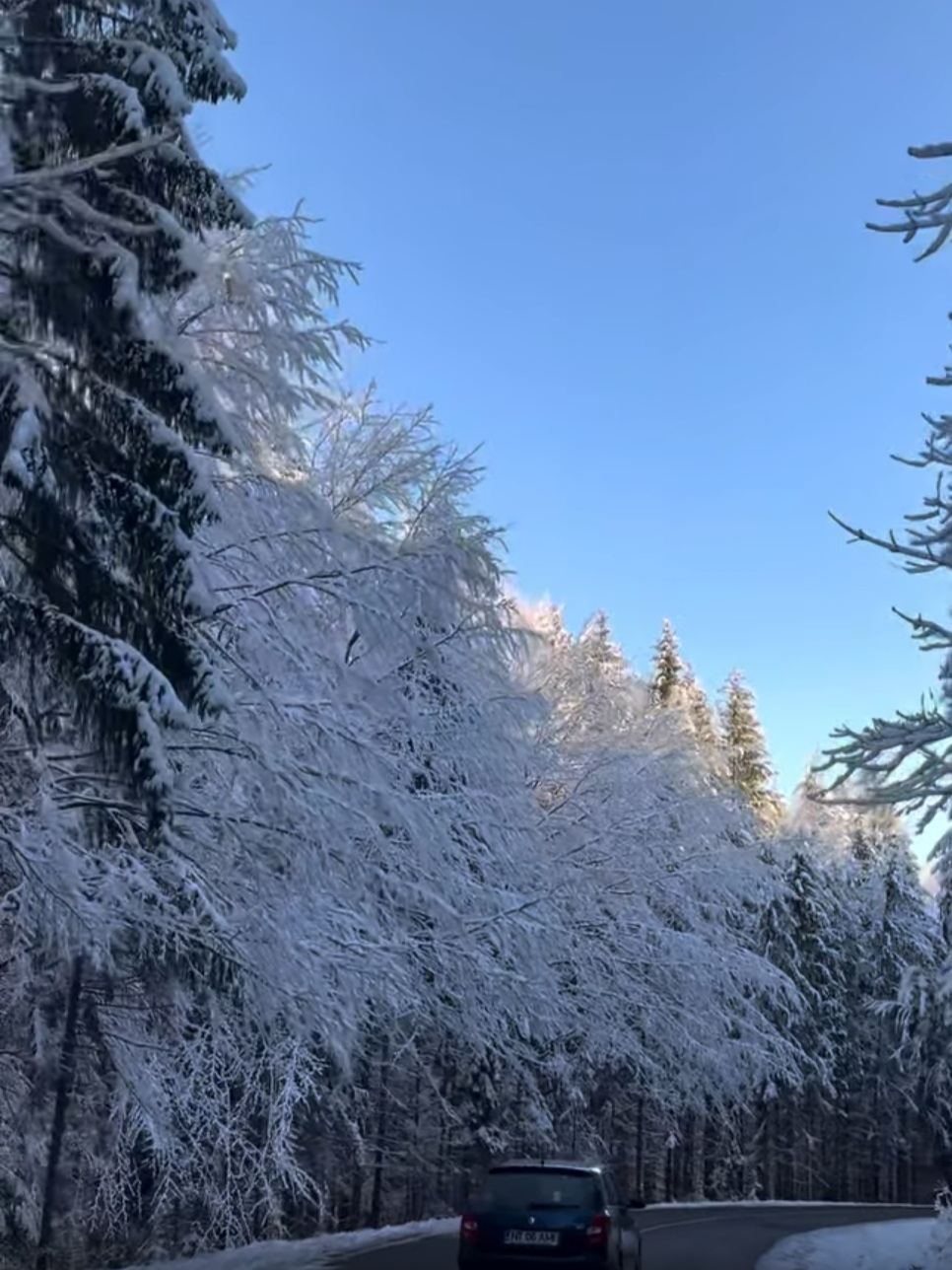 Bucovina, una dintre cele mai frumoase regiuni ale României, a devenit un tărâm de basm în această iarnă.