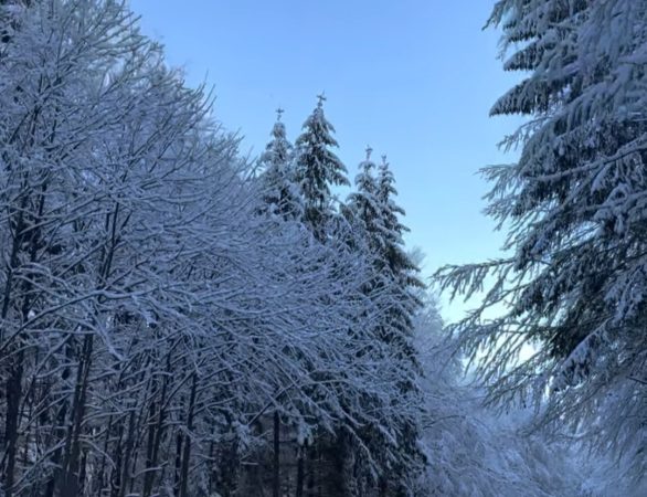 Bucovina: Peisaje de poveste sub mantia albă a iernii Bucovina, una dintre cele mai frumoase regiuni ale României, a devenit un tărâm de basm în această iarnă.