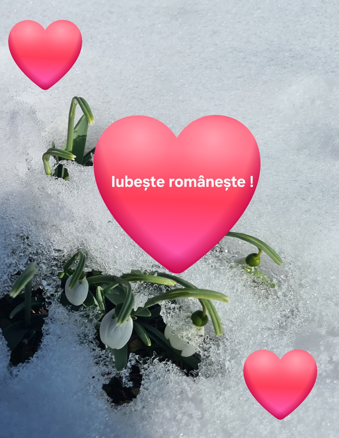 Astăzi, 24 februarie, românii sărbătoresc Dragobetele, ziua iubirii tradiționale, iar Ministerul Afacerilor Interne a ales să aducă un strop de umor în atmosfera festivă.