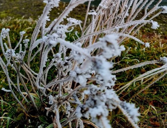 Vreme geroasă în următoarele zile: Februarie își ia revanșa cu temperaturi scăzute și precipitații Vreme geroasă în următoarele zile, meteorologii au emis avertizări de ger puternic pentru următoarele zile, iar februarie nu va face rabat de la rigorile iernii.