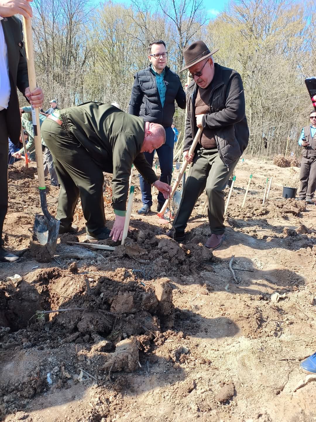 ZÂMBETE ȘI PLANTĂRI DE ARBORI ÎN DÂMBOVIȚA, O ZI VERDE PENTRU VIITOR!
