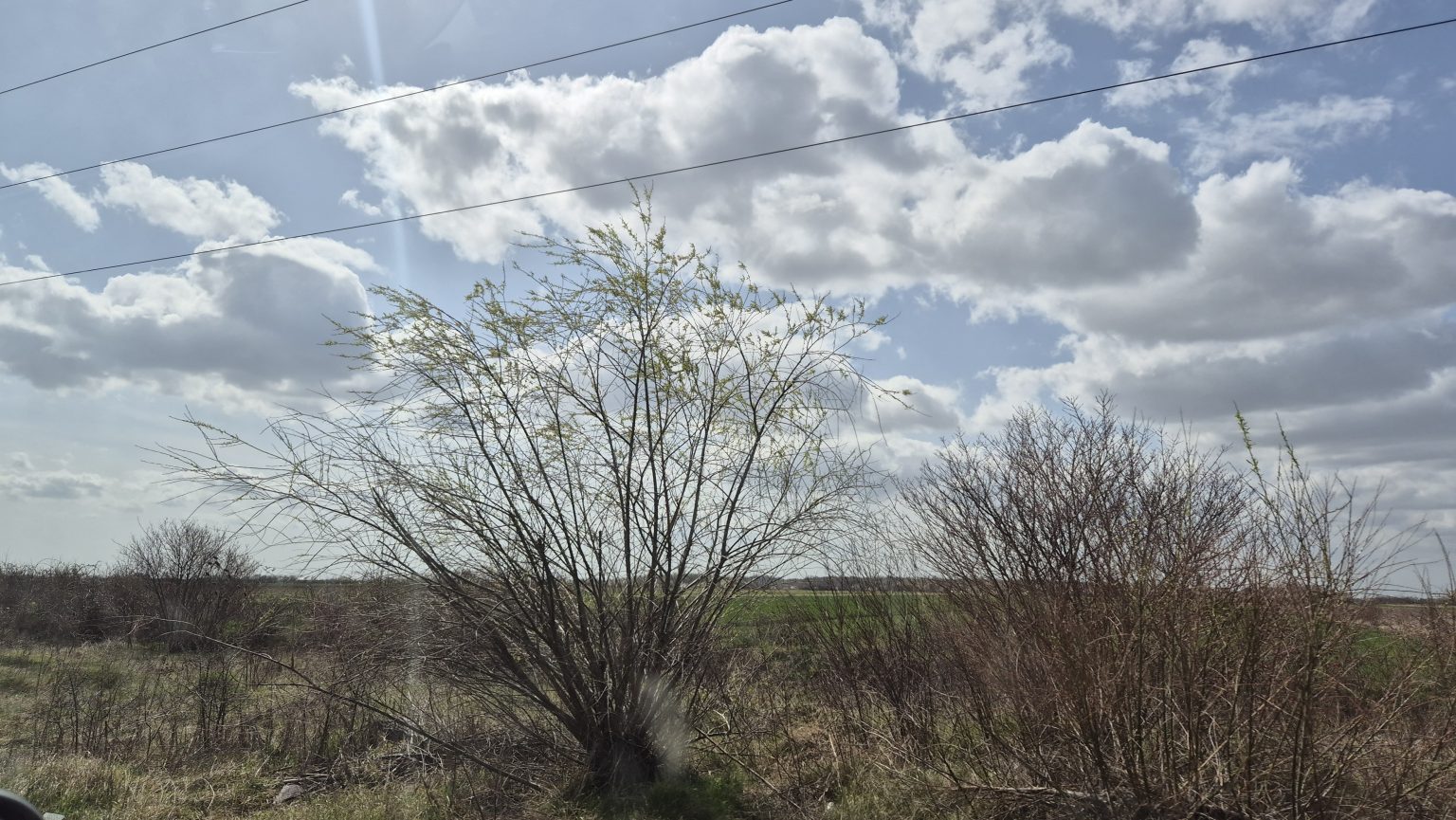 AVERTIZARE METEO: Vreme caldă și ploi pe 26 martie 2025 AVERTIZARE METEO: Vreme caldă și ploi pe 26 martie 2025.