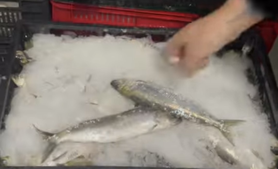 Pe 25 martie, Biserica Ortodoxă sărbătorește Buna Vestire, prima dezlegare la pește din Postul Paștelui.