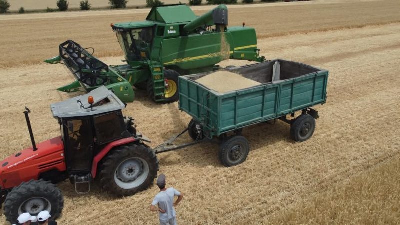 APIA a deschis perioada pentru depunerea cererilor de plată 2025: Fermierii pot accesa subvenții!  APIA a anunțat deschiderea oficială a perioadei de depunere a cererilor de plată pentru anul 2025. Fermierii din România pot solicita subvenții și plăți pentru sprijinul activităților agricole din cadrul Programului Național de Dezvoltare Rurală (PNDR).