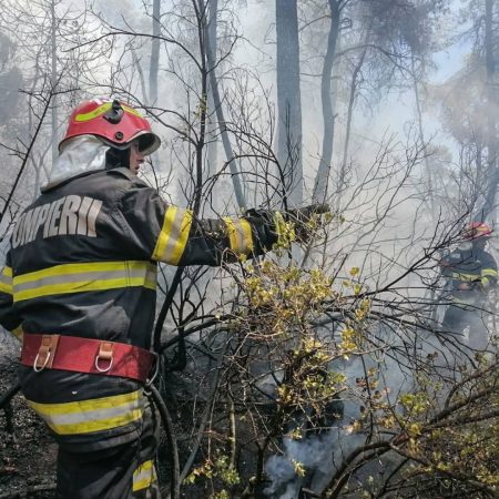 Incendiile de vegetație: Pericole pentru natură și populației  Incendiile de vegetație reprezintă un pericol major pentru mediul înconjurător, poluează aerul și afectează sănătatea umană.