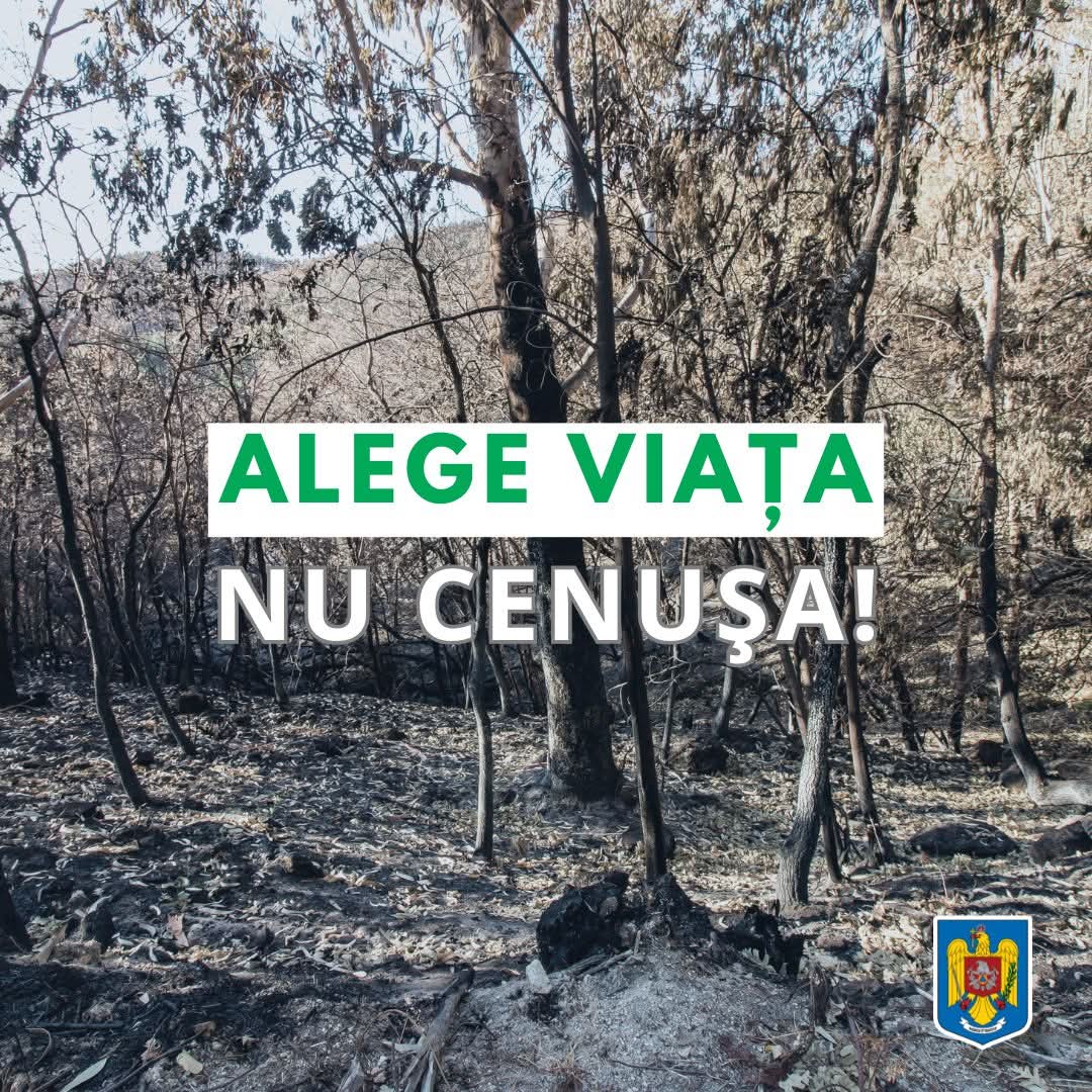 Incendiile de vegetație reprezintă un pericol major pentru mediul înconjurător, poluează aerul și afectează sănătatea umană.