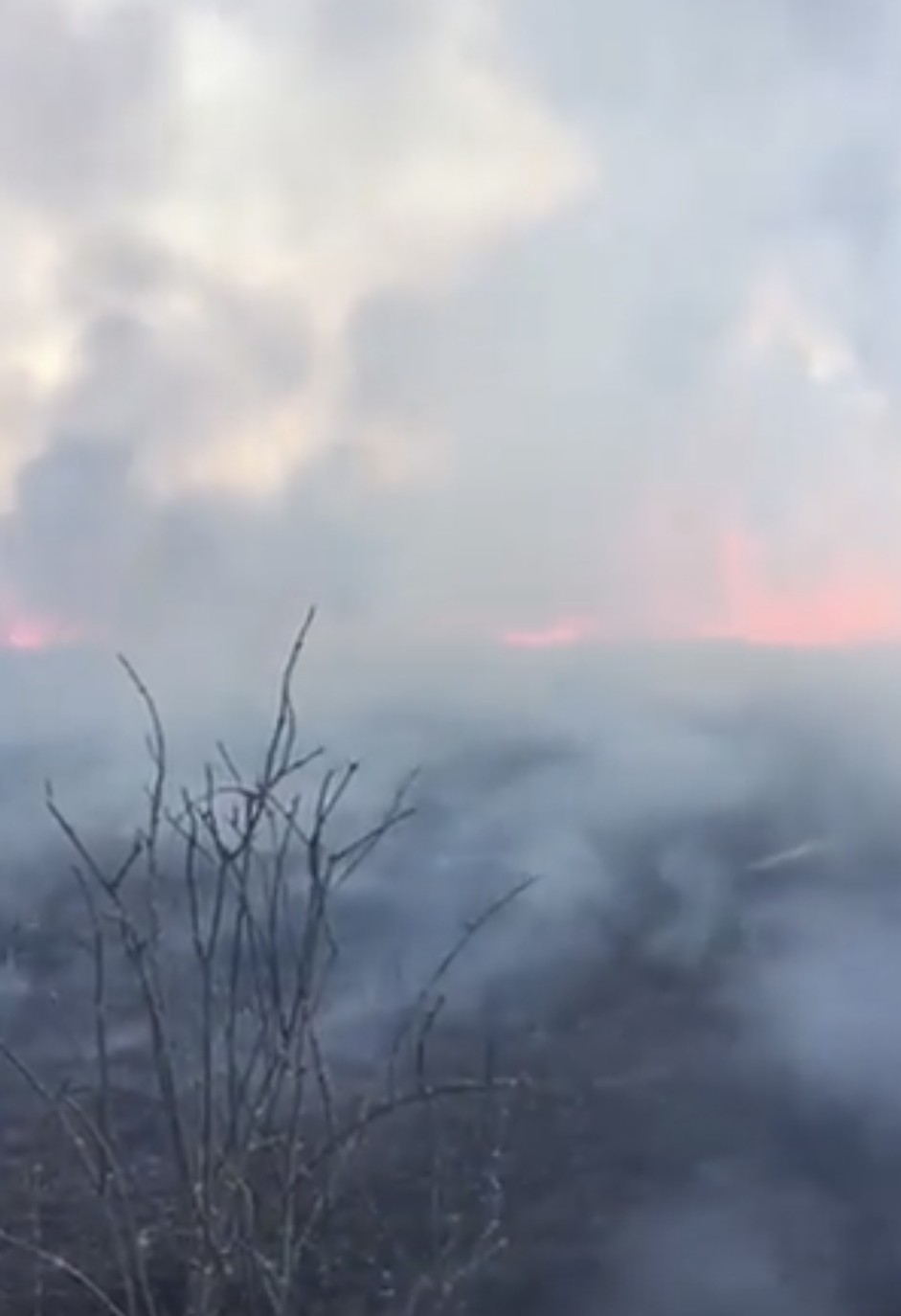 Incendiu pe Aleea Mănăstirea Dealu: Intervenție cu 4 autospeciale pentru stingerea focului.Astăzi, în jurul orei 13:53, pompierii din Târgoviște au fost solicitați să intervină pentru stingerea unui incendiu de vegetație uscată în municipiul Târgoviște, pe Aleea Mănăstirea Dealu.