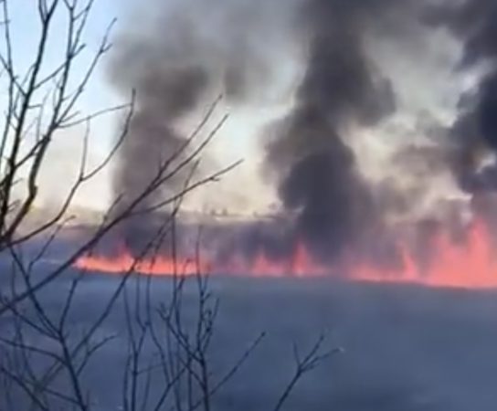 Incendiu pe Aleea Mănăstirea Dealu: Intervenție cu 4 autospeciale pentru stingerea focului Incendiu pe Aleea Mănăstirea Dealu: Intervenție cu 4 autospeciale pentru stingerea focului.Astăzi, în jurul orei 13:53, pompierii din Târgoviște au fost solicitați să intervină pentru stingerea unui incendiu de vegetație uscată în municipiul Târgoviște, pe Aleea Mănăstirea Dealu.