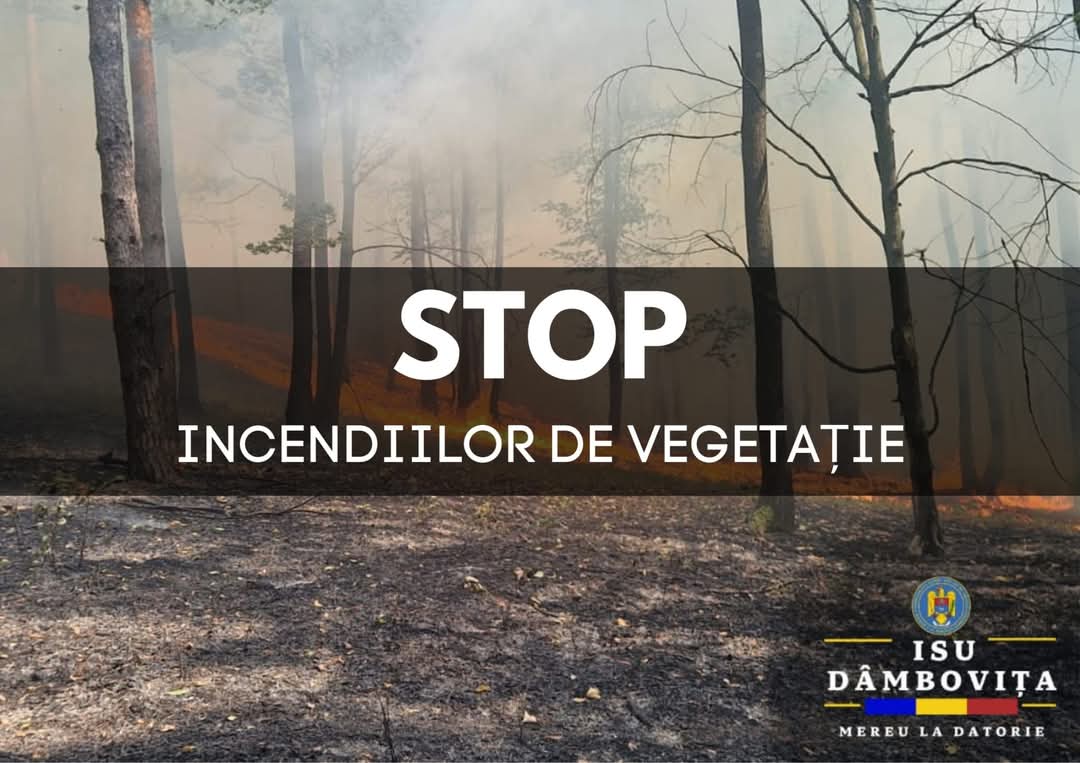În ultimele 24 de ore, ISU Dâmbovița a acționat pentru stingerea a 5 incendii de vegetație, în urma căror suprafață afectată a depășit 6,3 hectare de teren.