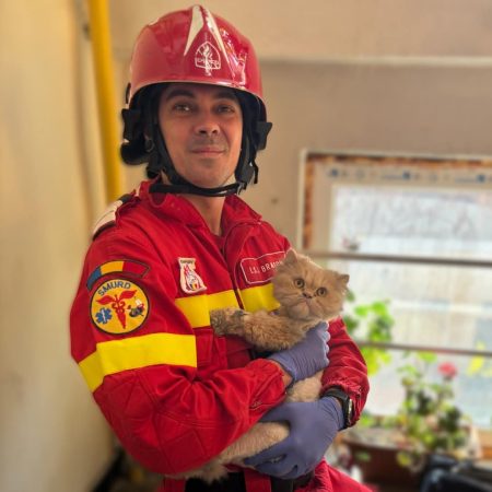 Pompierii au salvat o pisicuță dintr-un incendiu, demonstrând că sunt eroi și pentru sufletele blănoase Pompierii au salvat o pisicuță dintr-un incendiu, demontrând că sunt eroi și pentru sufletele blănoase.