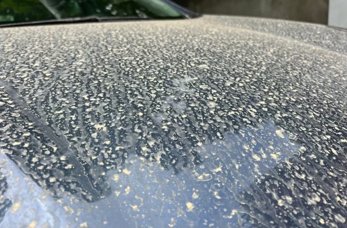 Val de praf saharian în toată țara: Fenomen vizibil în perioada 11-15 martie Val de praf saharian în toată țara, în perioada 11 - 15 martie 2025, o masă de aer încărcată cu praf saharian a ajuns deasupra României