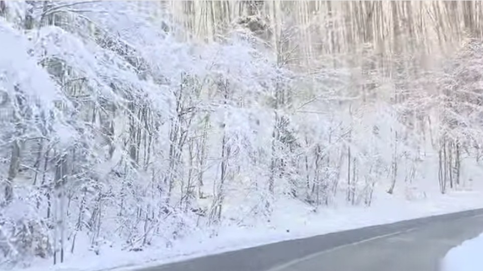 În ultimele 24 de ore, zonele montane din județele Argeș și Brașov s-au transformat într-un adevărat decor de basm, cu ninsori abundente care au acoperit peisajul î
