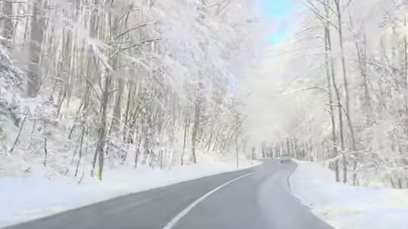 În ultimele 24 de ore, ninsori de poveste în zonele montane din Argeș și Brașov În ultimele 24 de ore, zonele montane din județele Argeș și Brașov s-au transformat într-un adevărat decor de basm, cu ninsori abundente care au acoperit peisajul î