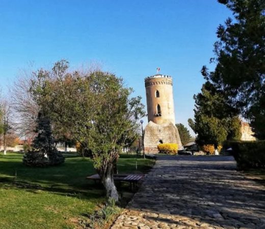 Ziua Internațională a Femeii sărbătorită cu intrare gratuită în muzeele din Dâmbovița De Ziua Internațională a Femeii, Consiliul Județean Dâmbovița și Complexul Național Muzeal „Curtea Domnească” Târgoviște oferă un cadou cultural deosebit.