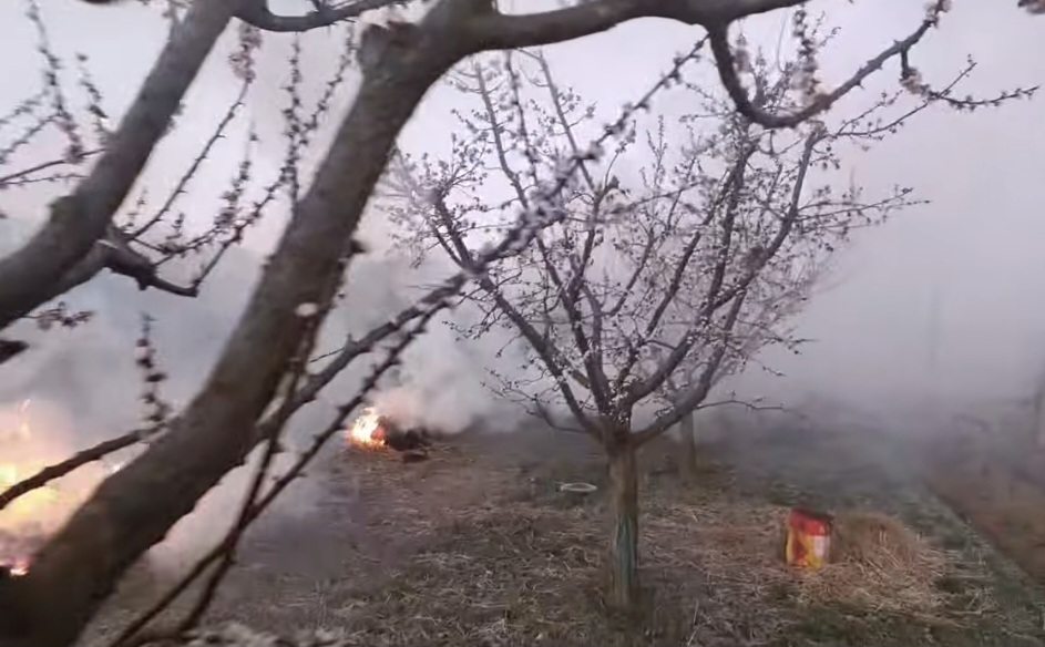 Atenție, agricultori! Pericolul înghețului de primăvară amenință livezile.