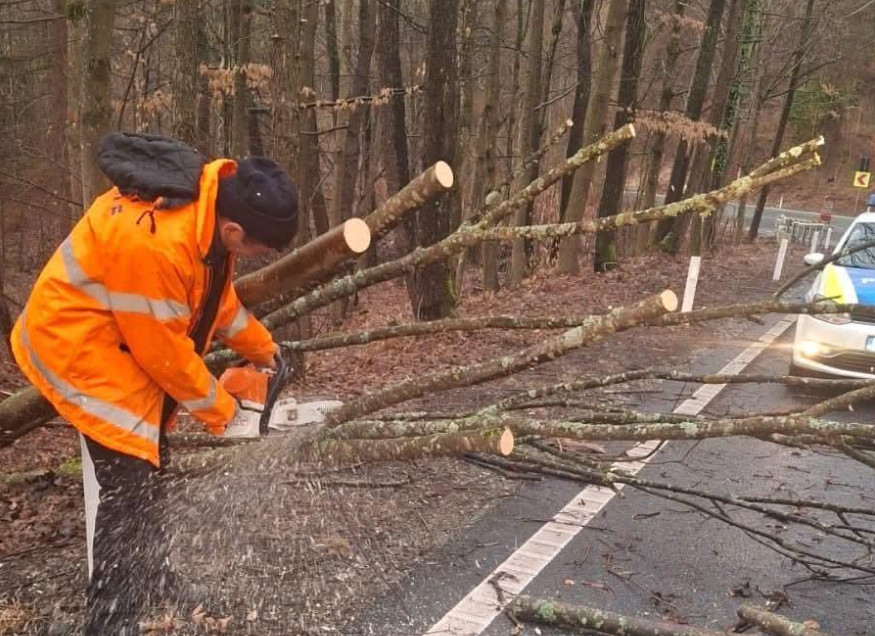 Avertizare de vânt puternic și vijelii în județul Dâmbovița