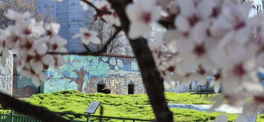 Elevi din București, Teleorman și Prahova au avut ocazia să descopere lumea fascinantă a animalelor la Grădina Zoologică din Târgoviște