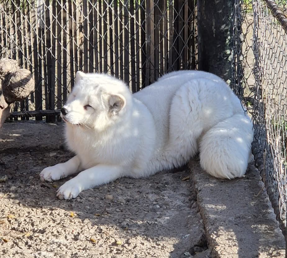 Elevi din București, Teleorman și Prahova au avut ocazia să descopere lumea fascinantă a animalelor la Grădina Zoologică din Târgoviște
