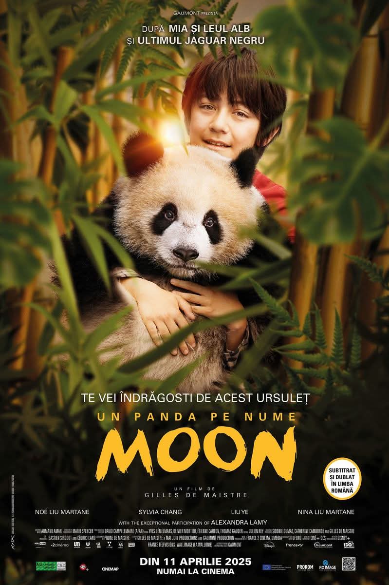 La Cinema Independența din Târgoviște,  "Moon the Panda" te așteaptă într-o aventură emoționantă, 13 aprilie, ora 11:00