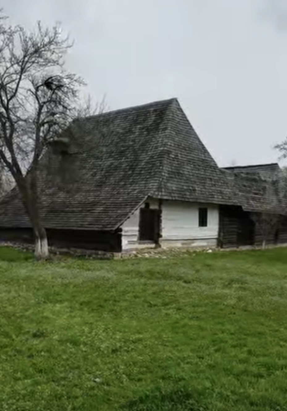 Primăvara și-a întins aripile și a adus cu ea un val de culoare și parfum la Muzeul Golești. În acest colț de istorie și tradiție, flori delicate de cireș,