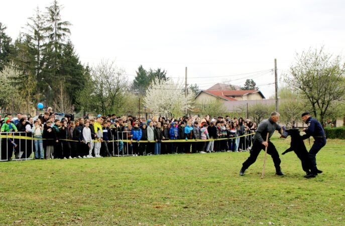 Peste 250 de elevi şi preşcolari, însoțiți de părinţi și cadre didactice de la unități școlare din municipiul Târgovişte, au răspuns invitaţiei Inspectoratului de Jandarmi Judeţean Dâmboviţa, iar astăzi 3 aprilie a.c., au păşit pentru prima dată într-o unitate militară.