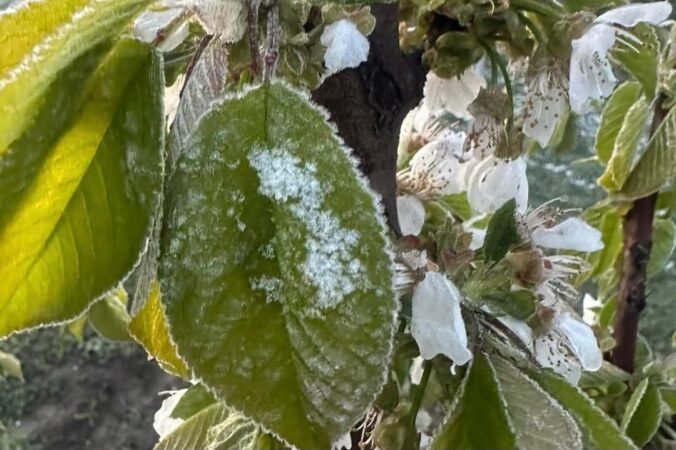 Avertizări meteorologice de vânt puternic, ger și precipitații mixte în județul Dâmbovița în următoarele 48 de ore.Administrația Națională de Meteorologie a emis două avertizări meteorologice pentru județul Dâmbovița, după cum urmează: