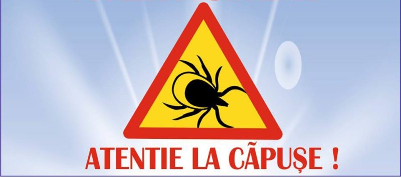 Atenție la căpușe! Atenție la căpușe!Odată cu venirea primăverii și creșterea temperaturilor, începe și sezonul activității căpușelor