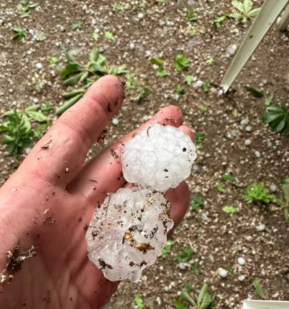 Avertizare meteo, meteorologii anunță o perioadă de instabilitate atmosferică accentuată începând din 4 mai, cu ploi abundente, descărcări electrice, vijelii și căderi de grindină în mai multe regiuni ale țării. Fenomenele severe vor afecta cu precădere zonele de nord, centru și est, dar se vor extinde treptat și în restul teritoriului.